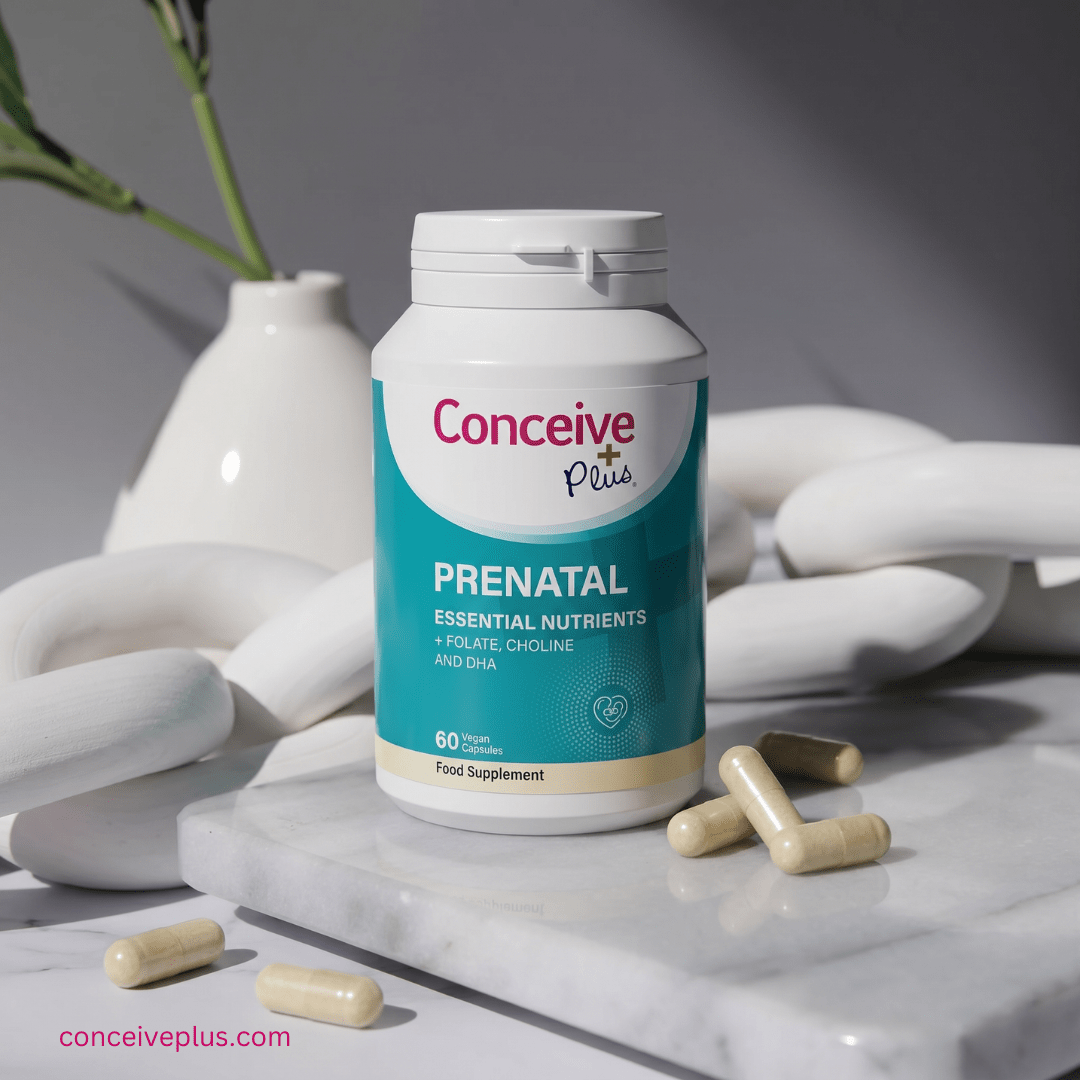 Fertility Testing in Europe: A Complete Guide to Tests, Results, and Next Steps - Conceive Plus® Europe